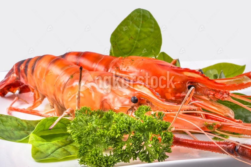 Two Lobster grilled on white dish - បង្កងអាំង