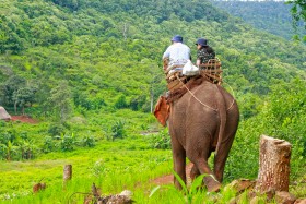 Couple riding elephant in to forest - ជិះដំរីលេងក្នងព្រៃ