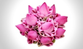 Bunch of Lotus flower - បាច់ផ្កាឈូក